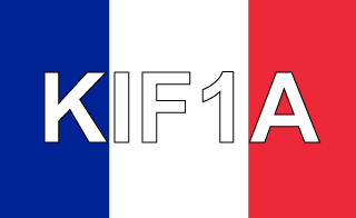 Letras KIF1A con la bandera de Francia de fondo